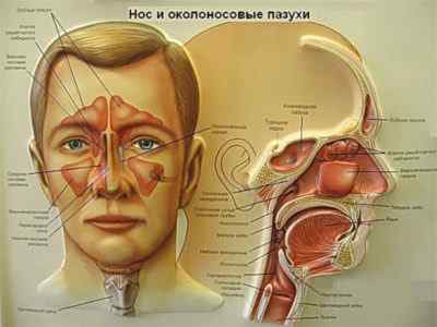 Почему возникает боль и заложенность носа